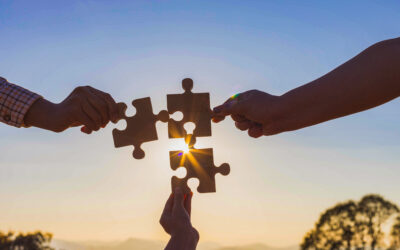 Zawód Mediatora Sądowego Zmienia Paradygmat Myślenia o Rozwiązywaniu Konfliktów